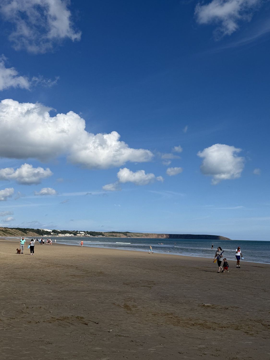 The wide sands of Filey Bay at low tide seen from the dunes at Hunmanby Gap