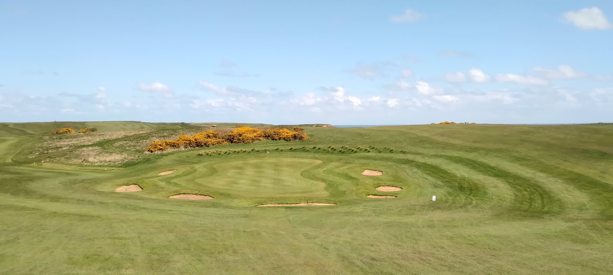 A green ringed by bunkers at Flamborough Head Golf Club - Caramel Cottage A green surrounded by six bunkers at Flamborough Head Golf Club, with gorse in flower and the North Sea on the horizon