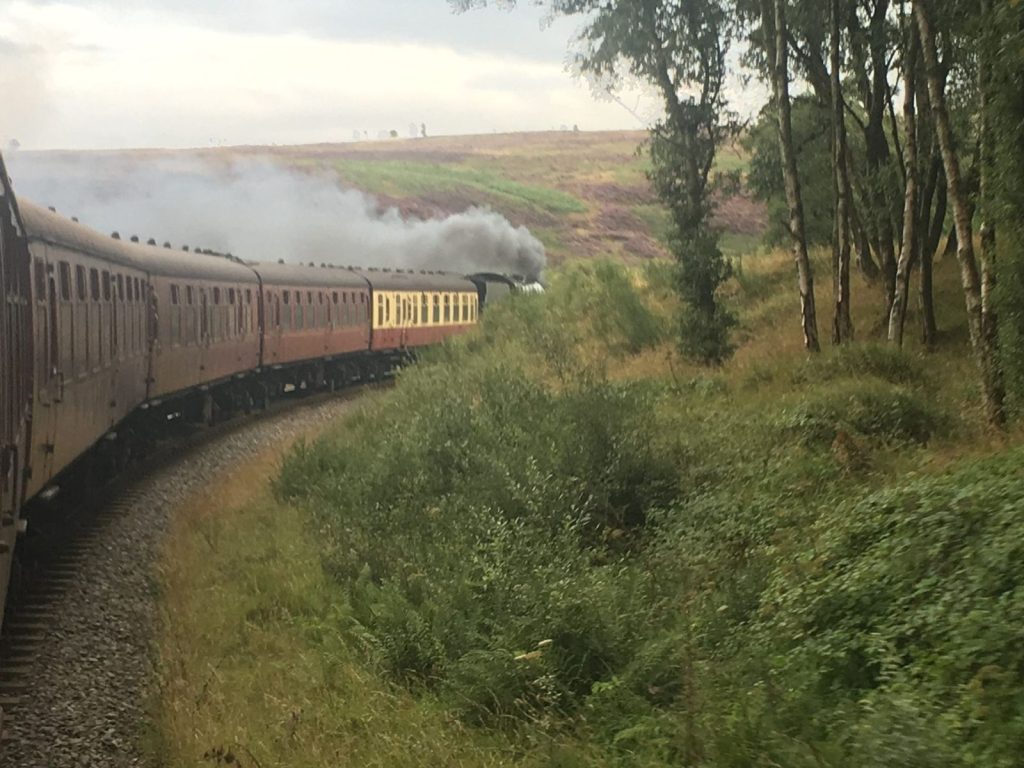 A North Yorkshire Moors Railway steam train and maroon carriages crossing the moors