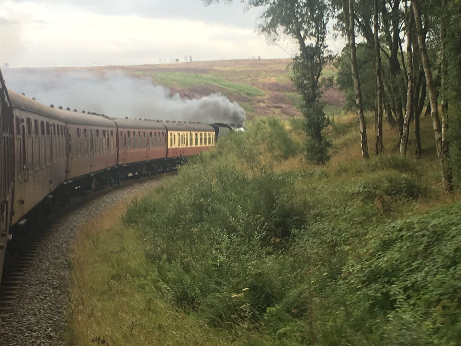 A North Yorkshire Moors Railway steam train and maroon carriages crossing the moors