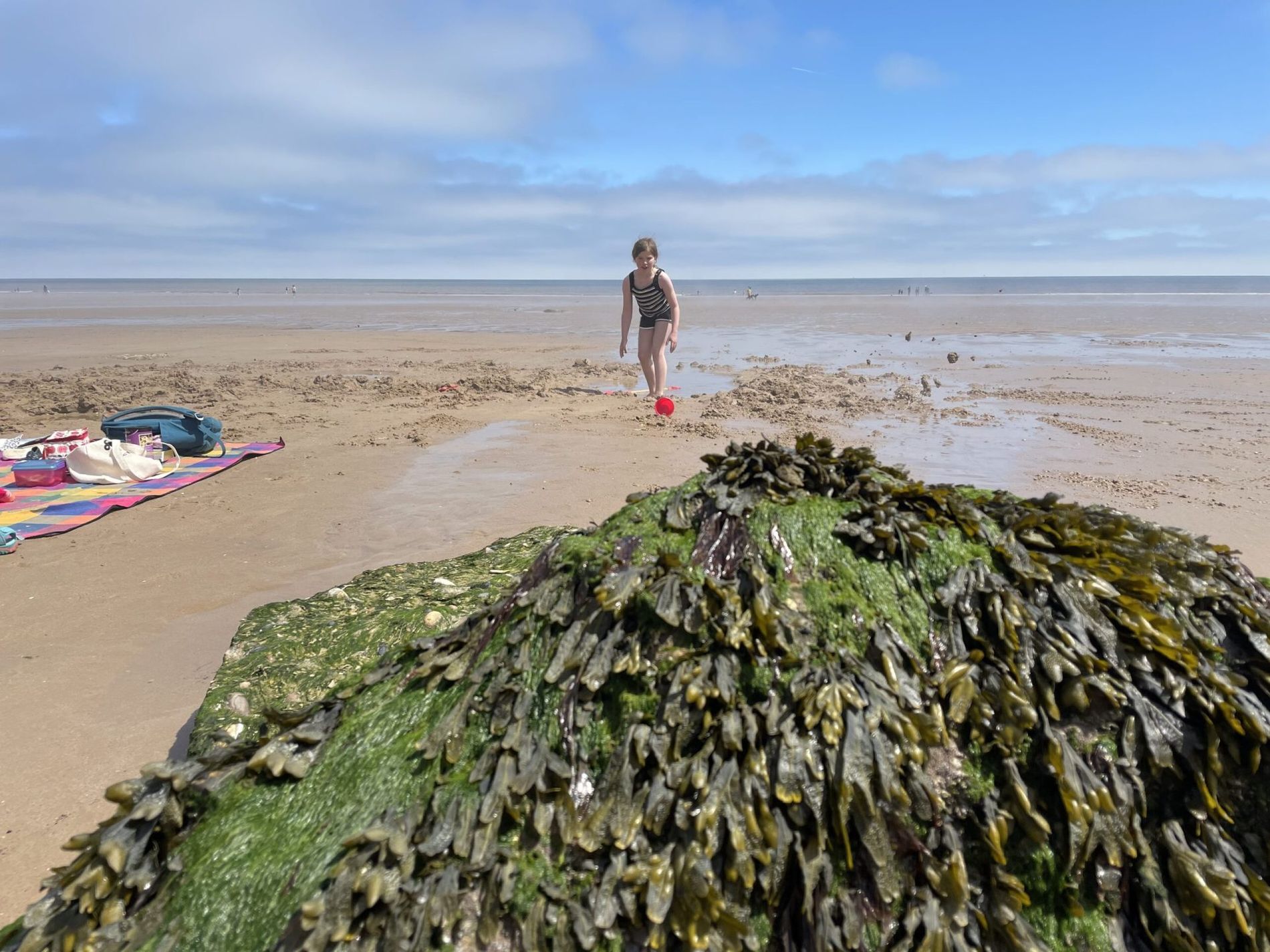 A child rockpooling beside a seaweed-covered rock on the beach near Filey