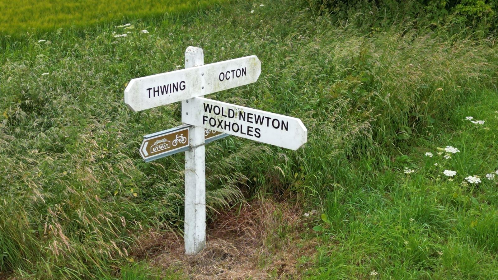 A white fingerpost in the Yorkshire Wolds pointing to Thwing, Octon, Wold Newton and Foxholes