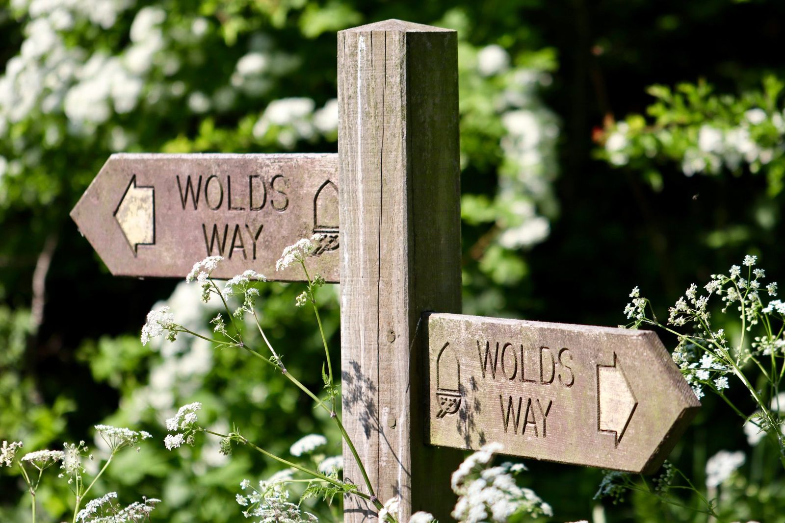 Wooden Wolds Way waymarker posts on the National Trail near Filey