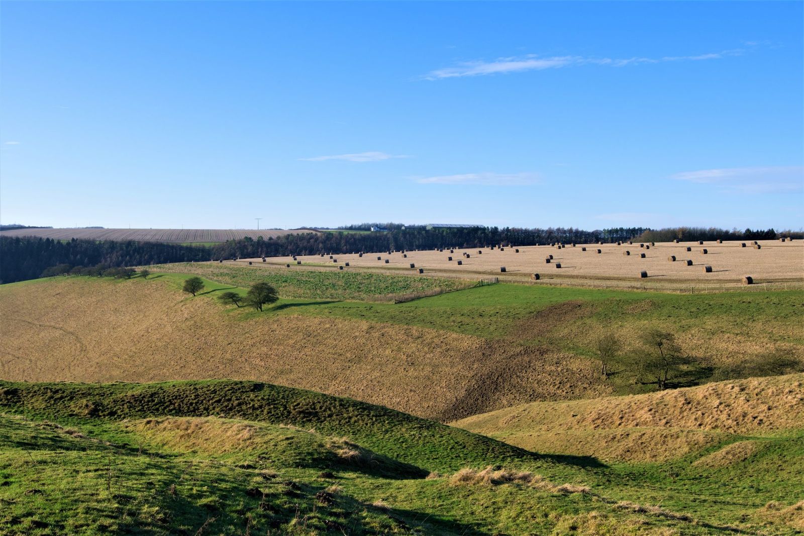 A dry valley of farmland and hedgerows in the Yorkshire Wolds